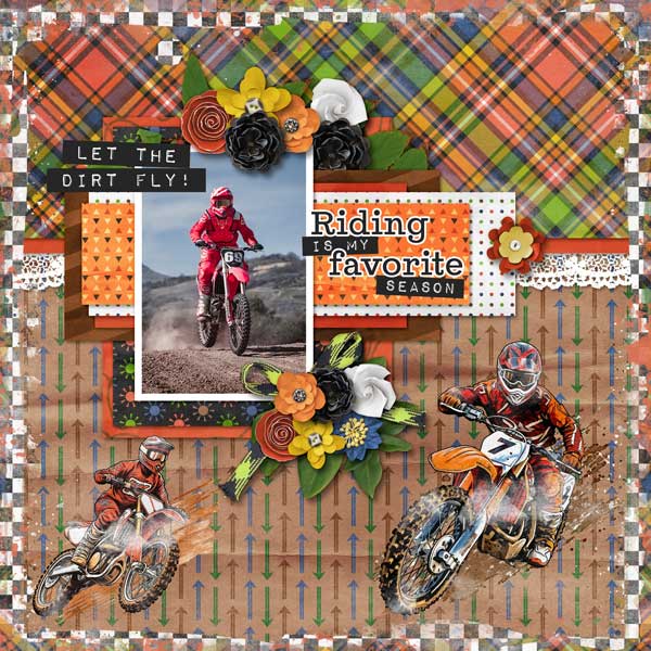 free-wheelin-aimeeh_singula