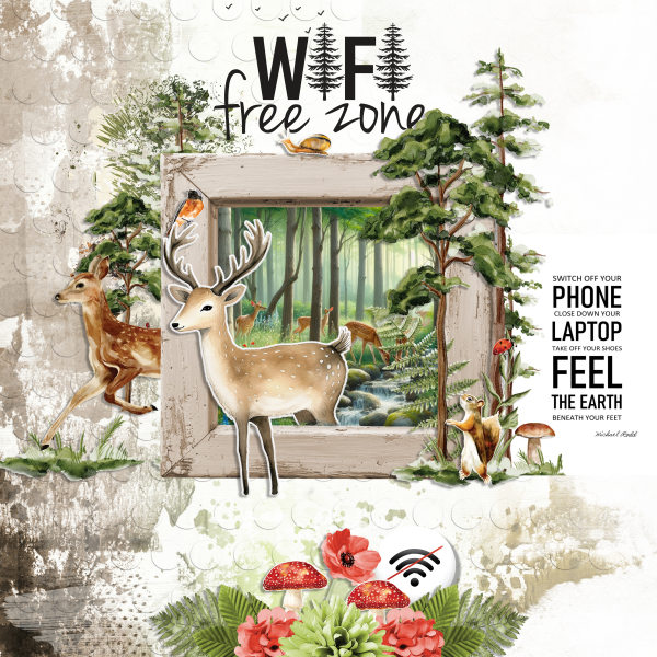 Free Wifi zone