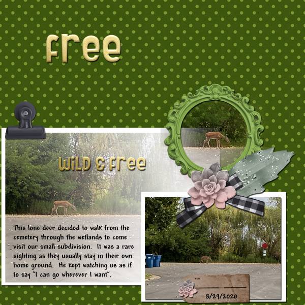 Free