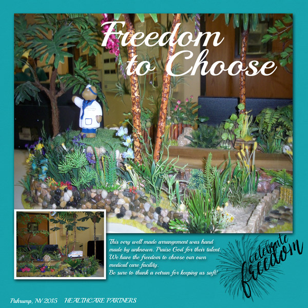 Freedom to Choose