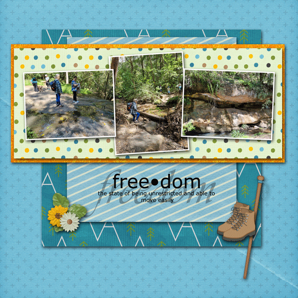 Freedom-web