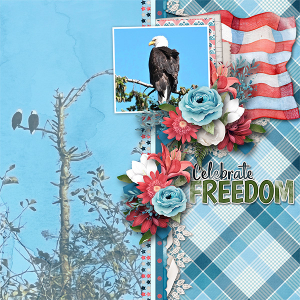 Freedom