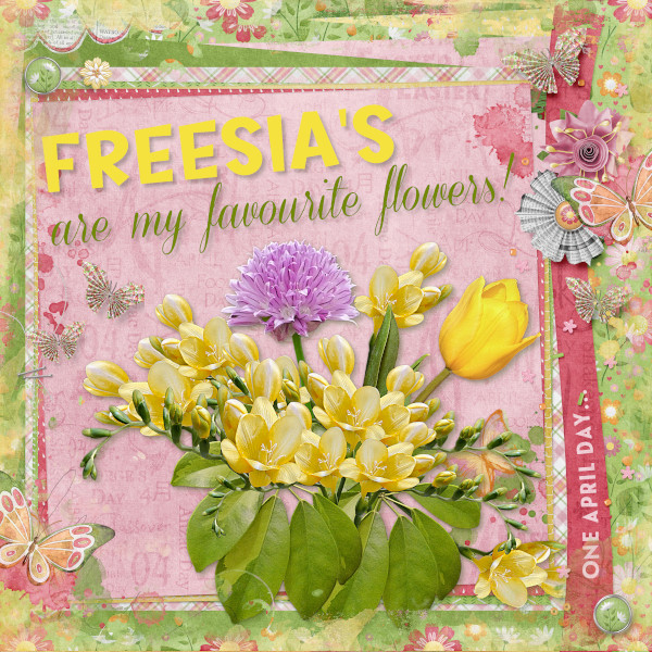 Freesia's