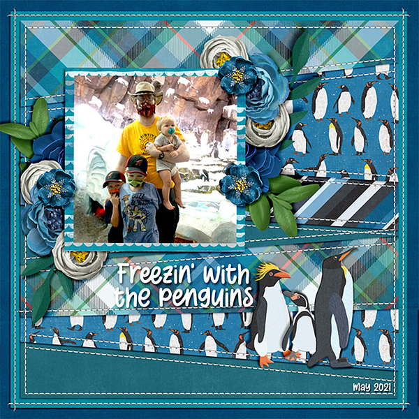 freezin-penguins-521