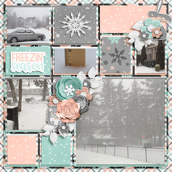 Freezin Season