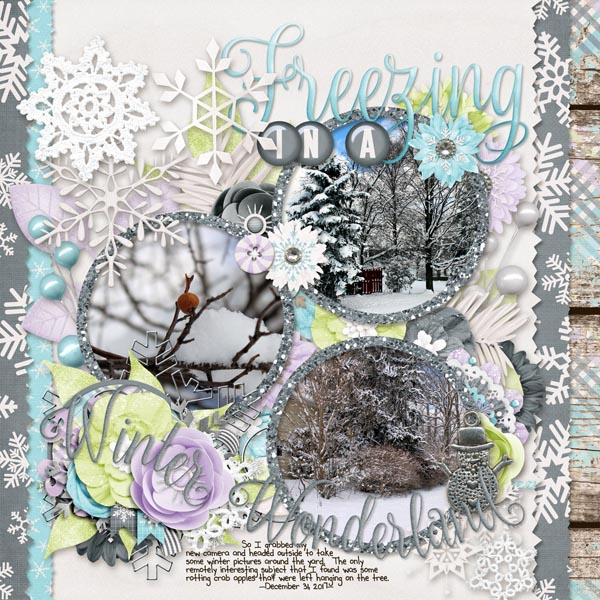 Freezing in a Winter Wonderland
