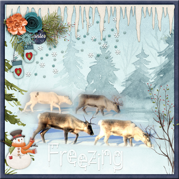 Freezing2