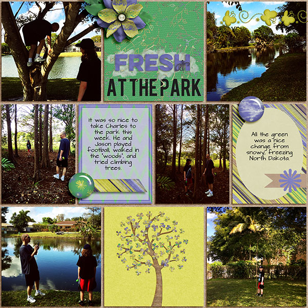 Fresh Air in the Park