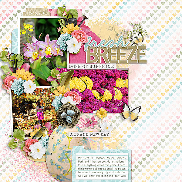 Fresh Breeze
