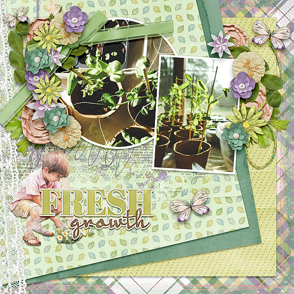 Fresh Growth