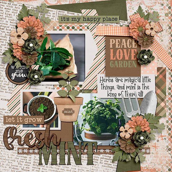 Fresh Mint