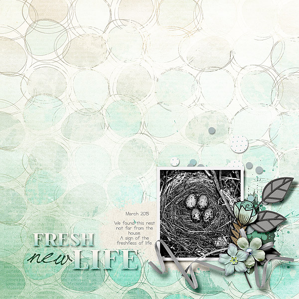 Fresh New Life