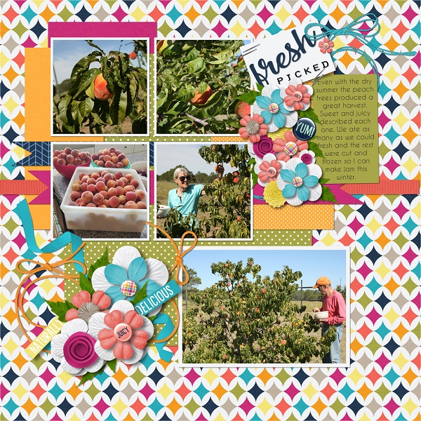 Fresh Picked Peaches