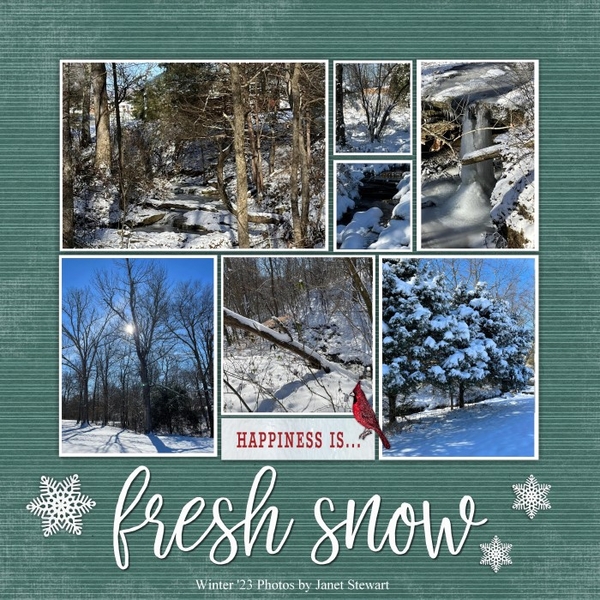Fresh Snow
