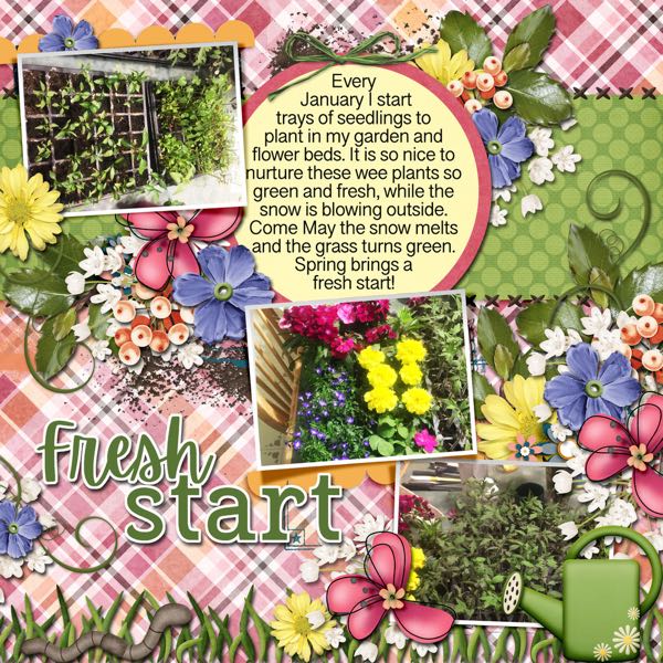 Fresh Start