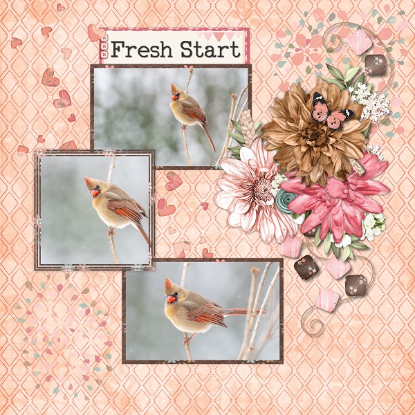 Fresh Start