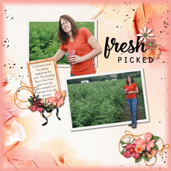 Freshed Picked