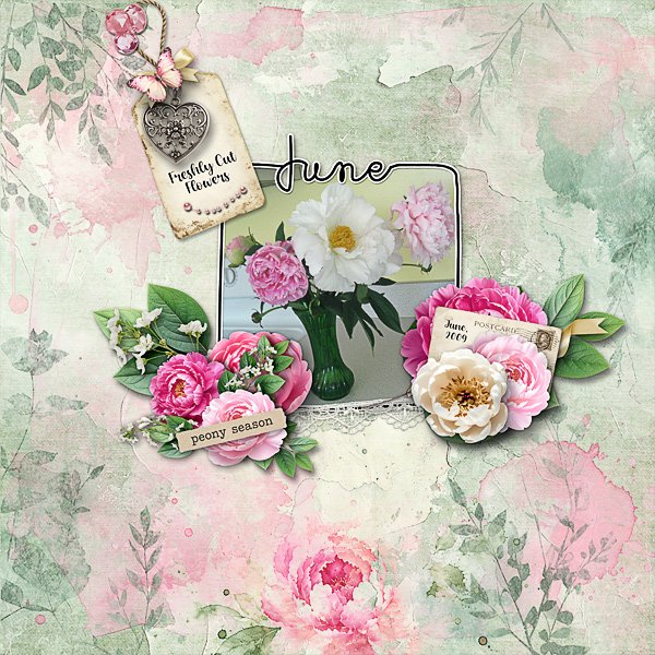 Freshly Cut Peonies