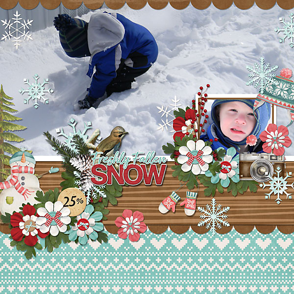 Freshly Fallen Snow