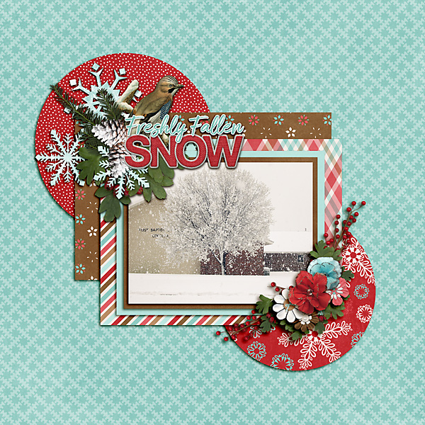 Freshly Fallen Snow