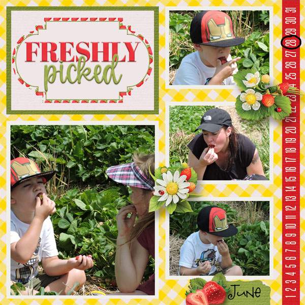 Freshly Picked R
