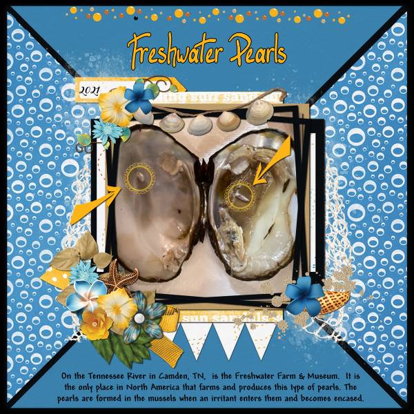 Freshwater Pearls