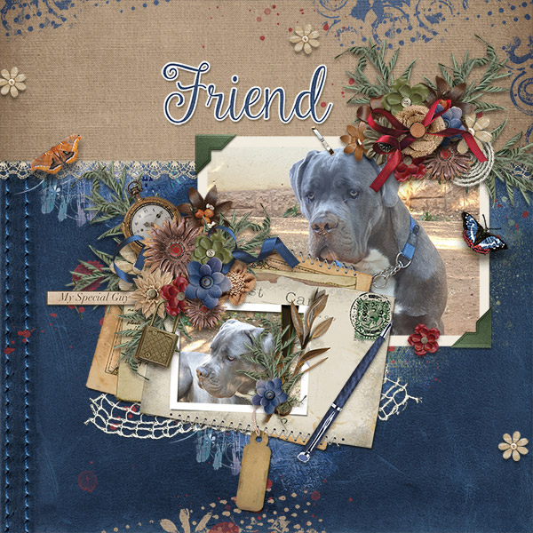 Friend