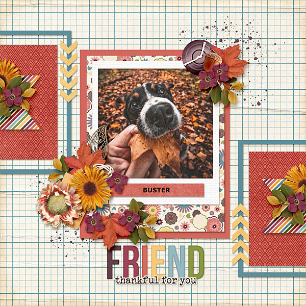 Friend