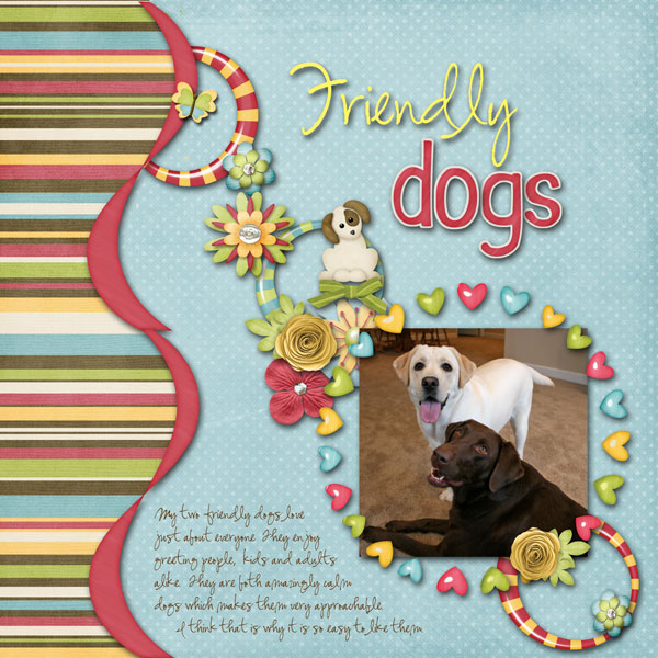 friendly dogs