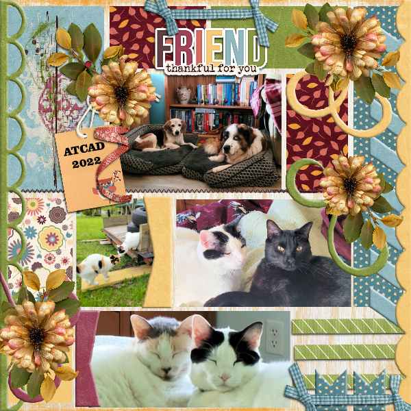 Friends 9 Template GS