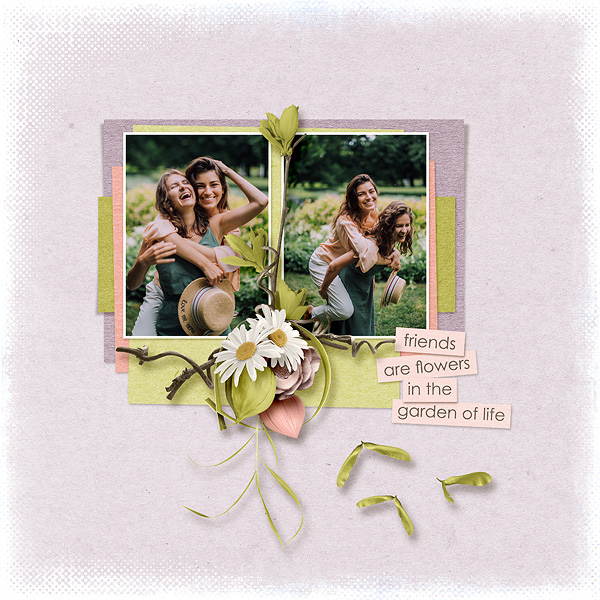 friends are flowers in the garden of life