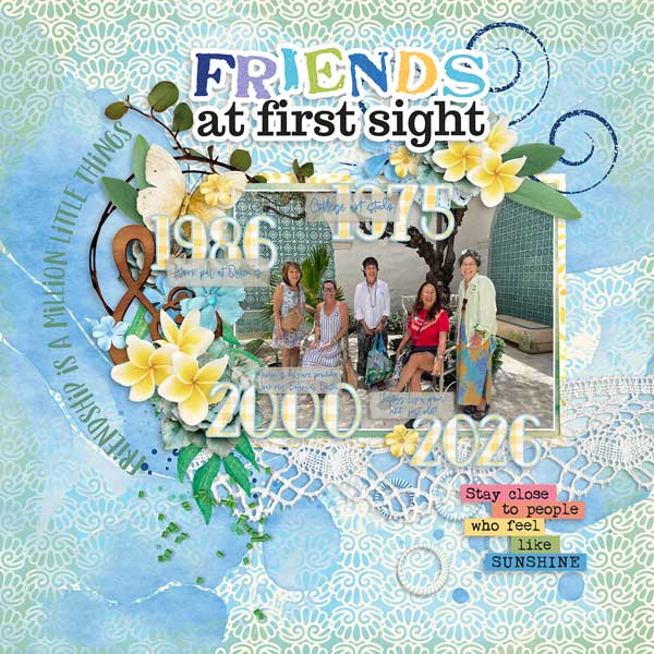 Friends-at-First-Sight-webv.jpg