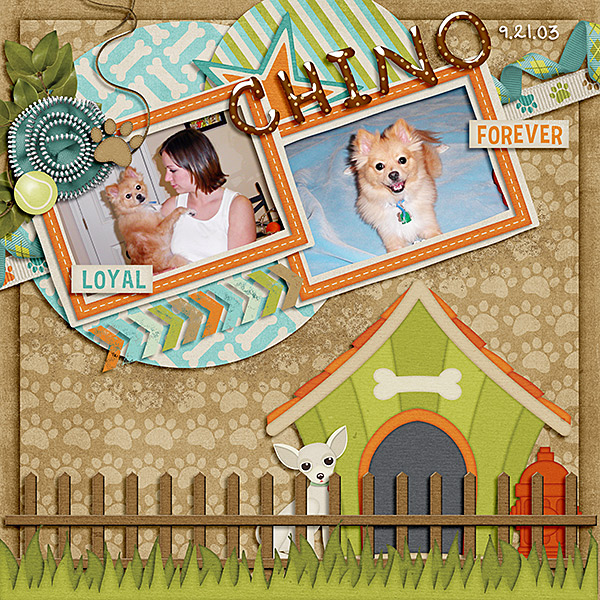 Friends Fur-Ever