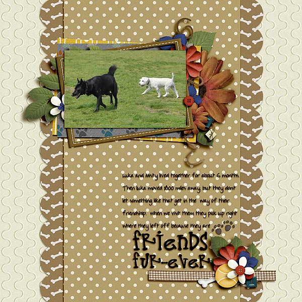 Friends-Fur-ever