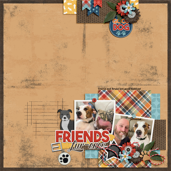 Friends Fur-Ever