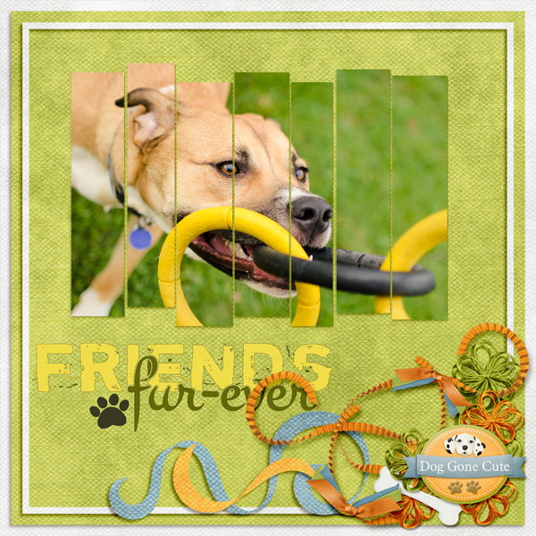 Friends Furever