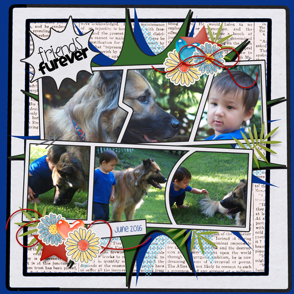 Friends Furever