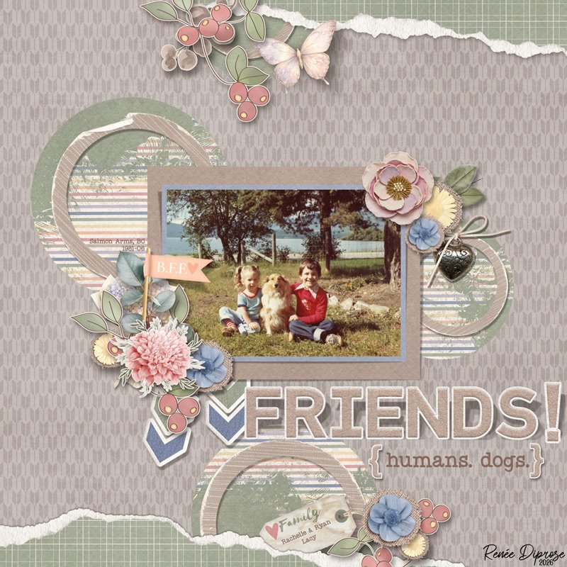 Friends-humans-dogs