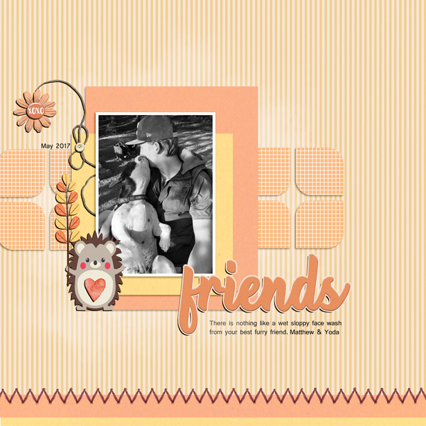 FRIENDS