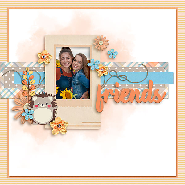 Friends