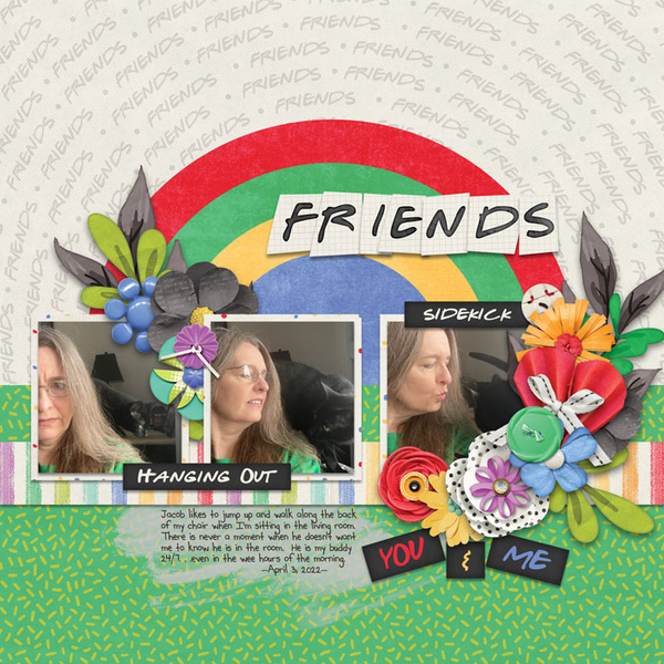 Friends