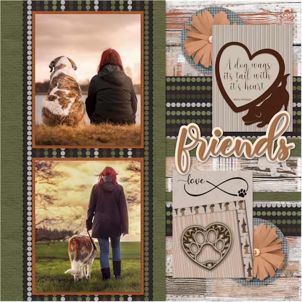 Friends
