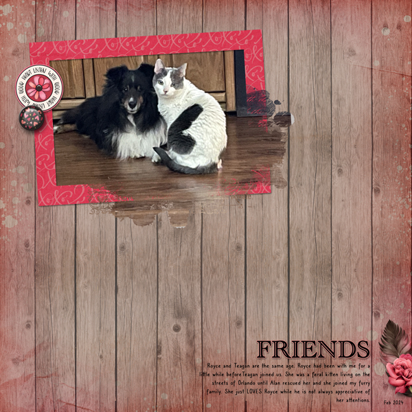 Friends