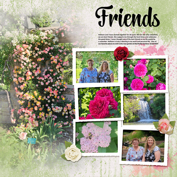 Friends
