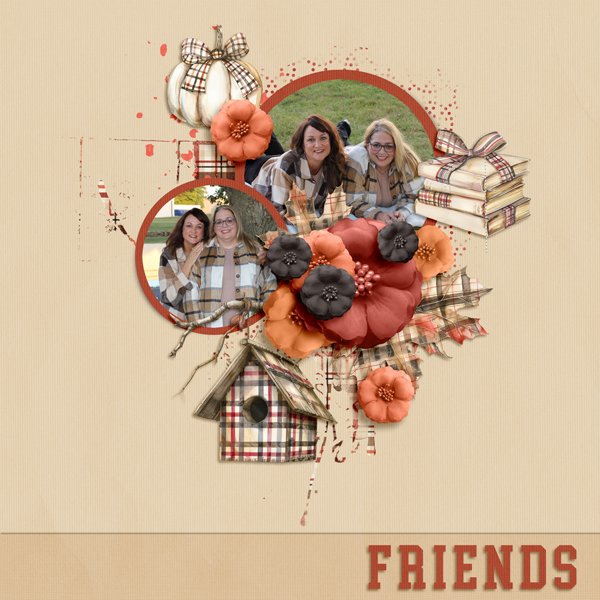 Friends