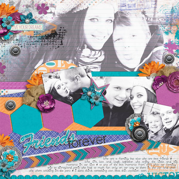 Friendsforeversmall