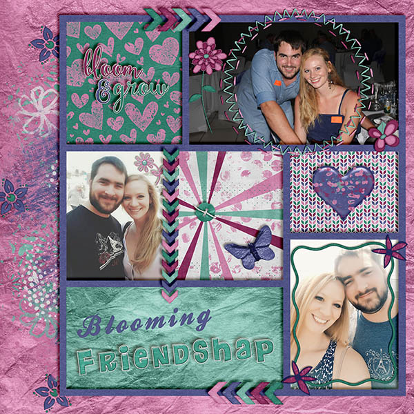Friendship blooming-ddnd-FIB