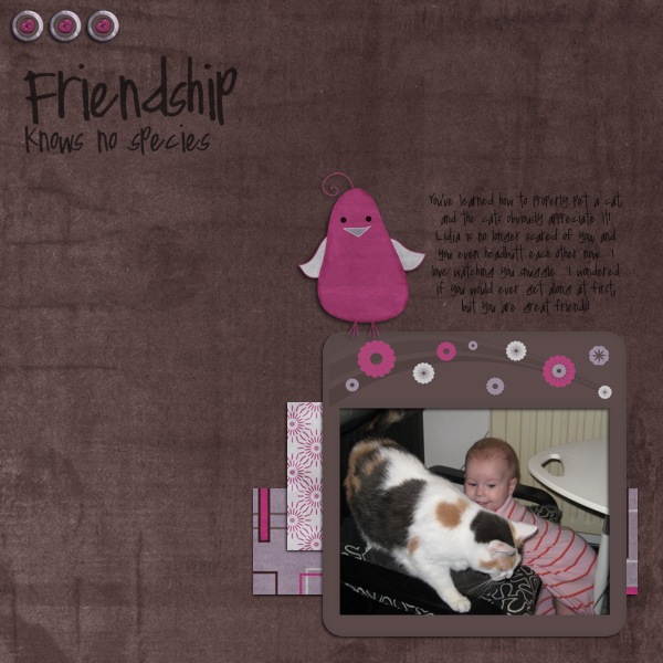 Friendship Knows Know Species