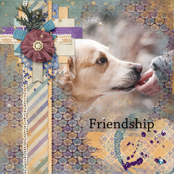 Friendship
