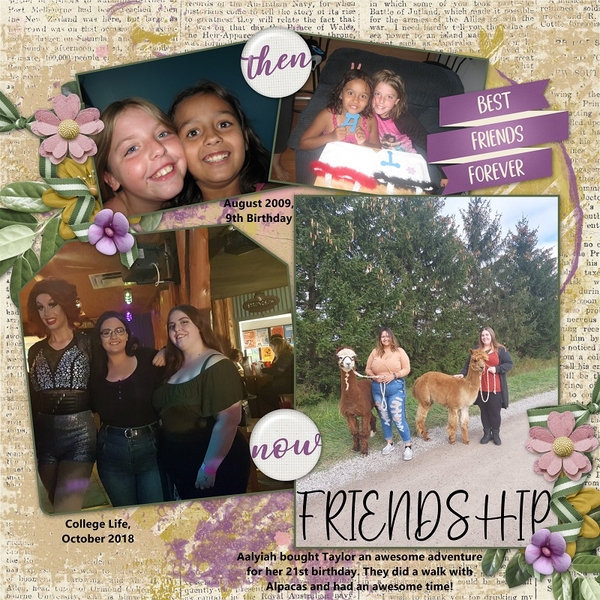 Friendship